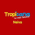 Logo Tropicana en Vivo Neiva